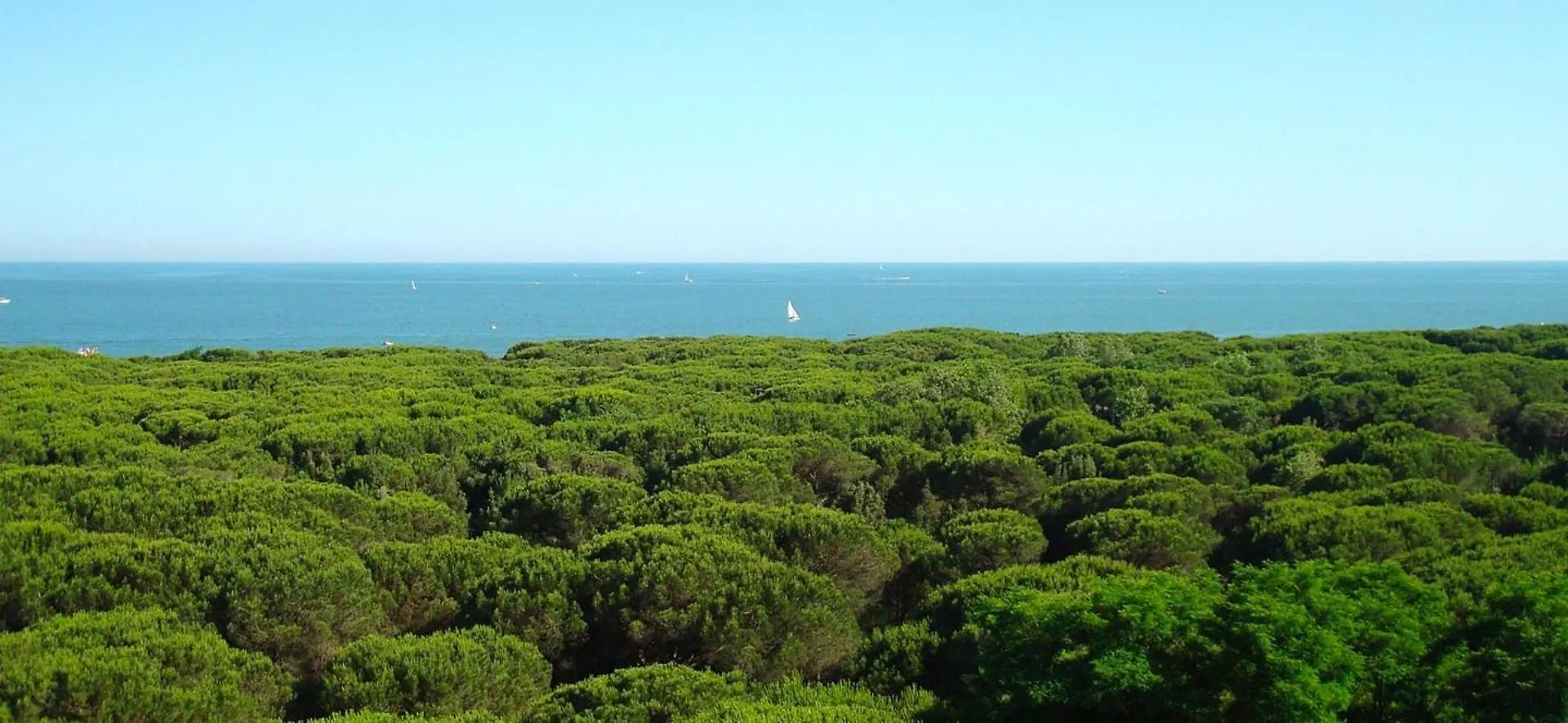 Hotel President Cervia